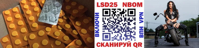 blacksprut   Нолинск  ЛСД экстази ecstasy 
