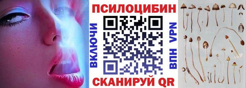 даркнет сайт Нолинск Псилоцибиновые грибы Magic Shrooms